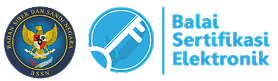 BSRE Logo